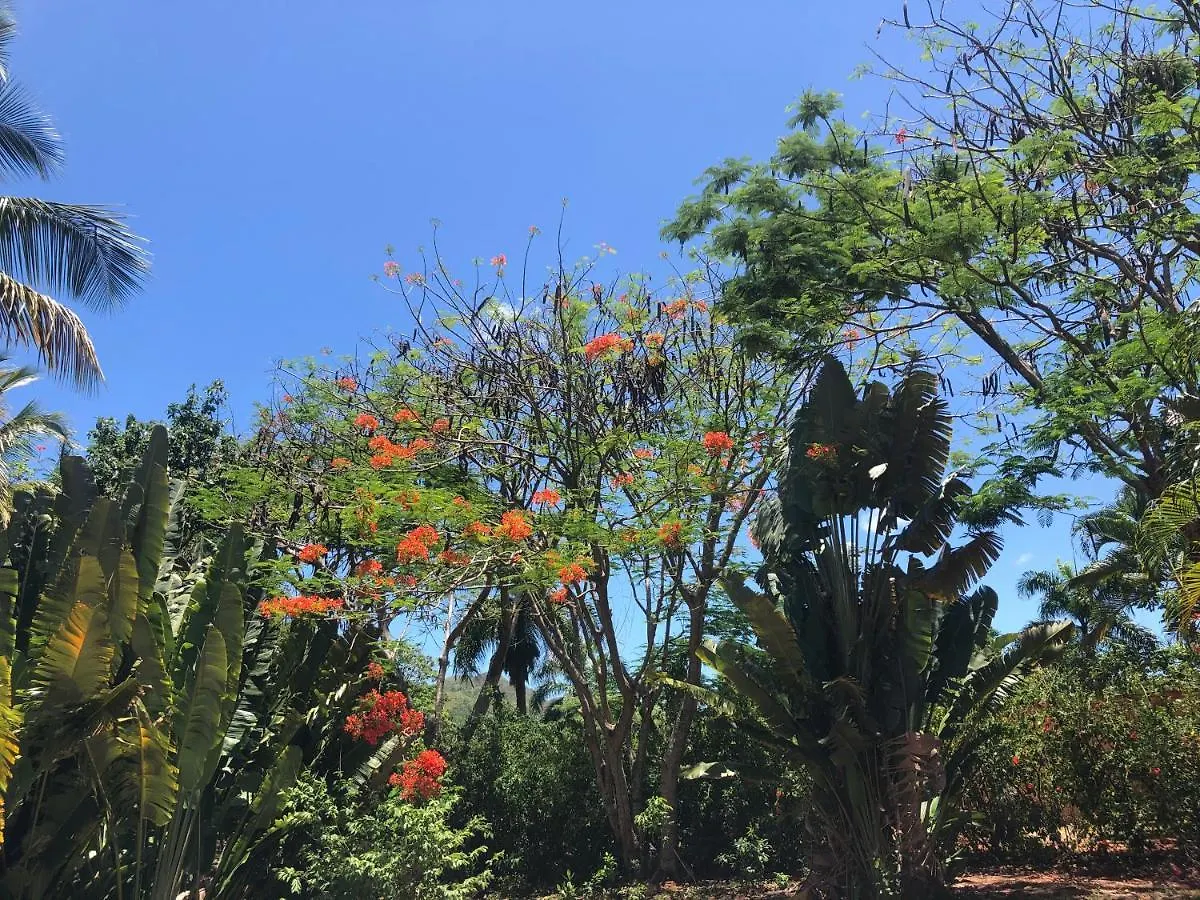 Bed & Breakfast Aventura Rincon Ecolodge Las Galeras Dominican Republic