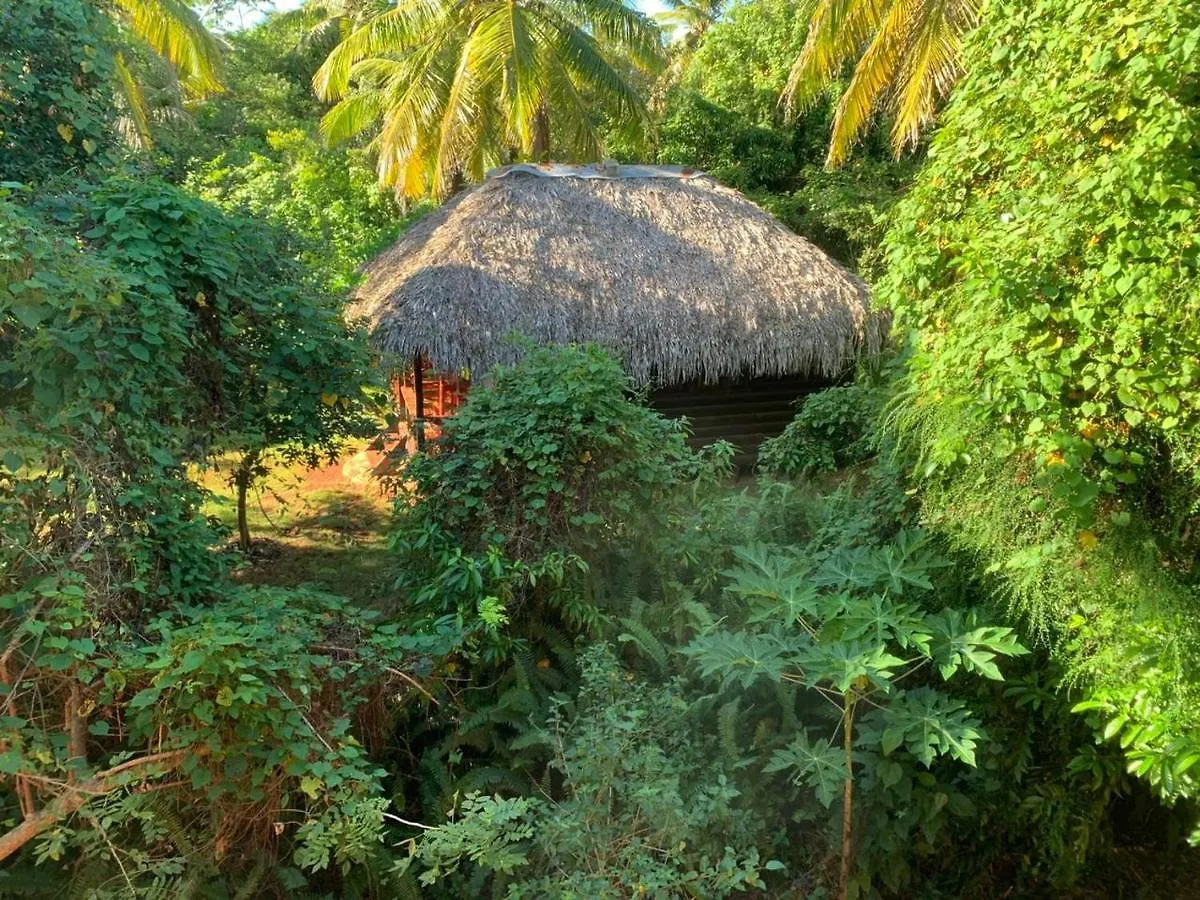 Aventura Rincon Ecolodge Las Galeras Bed & Breakfast
