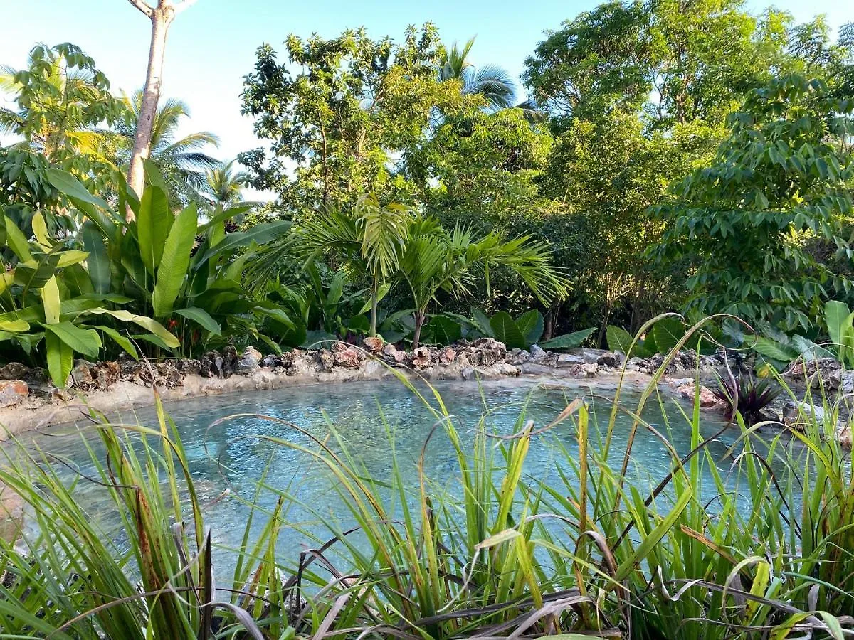 Aventura Rincon Ecolodge Las Galeras República Dominicana